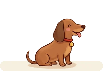Banjo the dachshund sitting on his patch of lawn